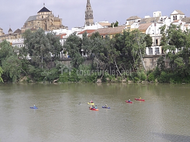 ducha blanco tetas grandes en Córdoba ducha blanco tetas grandes en Córdoba